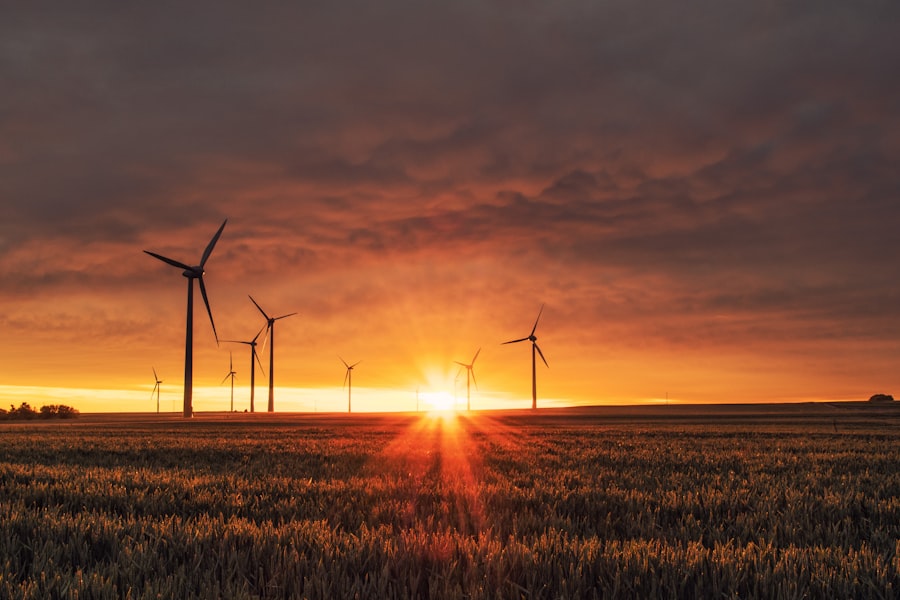 Wind turbines across a field at sunset